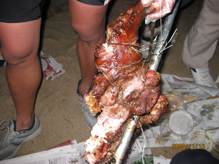 ��~~~������ֻ��~~~���Ժ�ǰ��һֻ�ȡ�