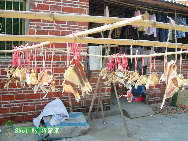 ũ������