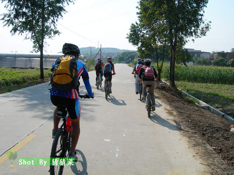 ��Ȼ��˵�����߲˵��������߲�ֱ����۵����ġ�