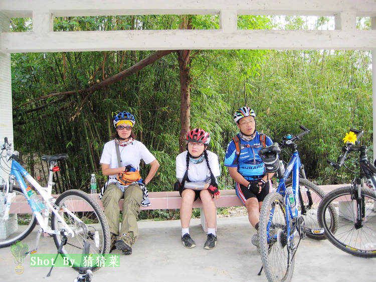 ��Ҳ����