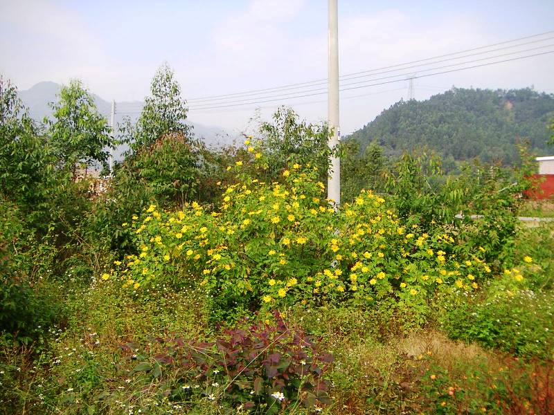 ɽ��֮�ա������ա�������֮���