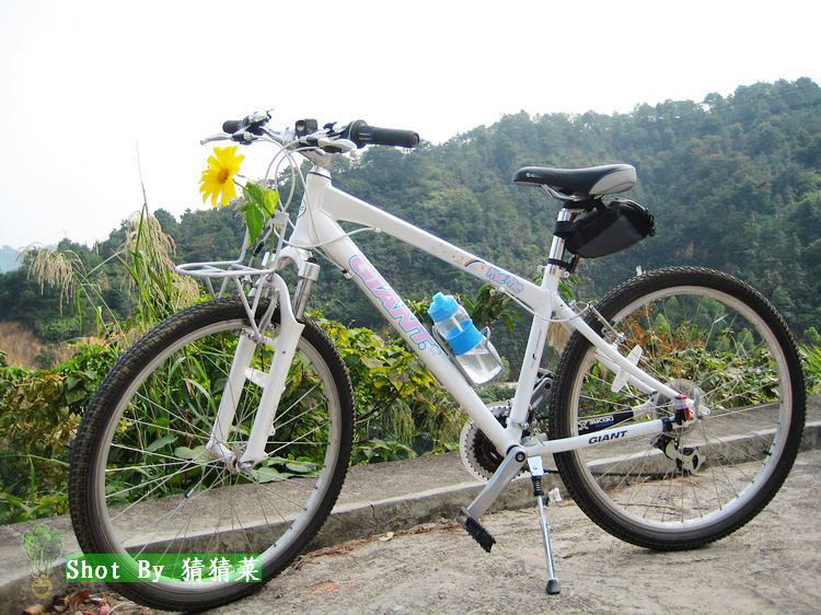 ĳ�˵Ļ���������~