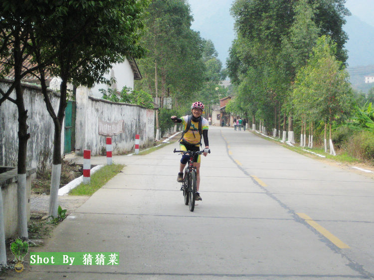 ���µ�����