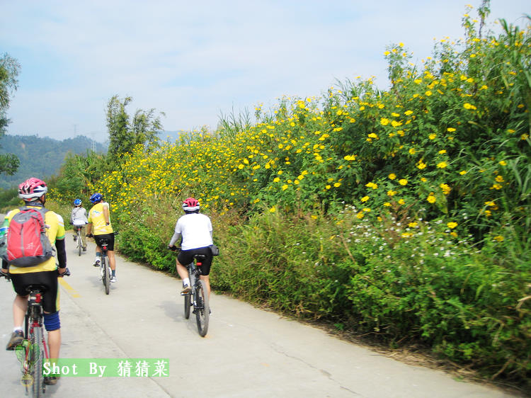 ������ջ��д�ż��