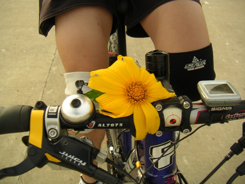 ˳��������Ҳһ��������