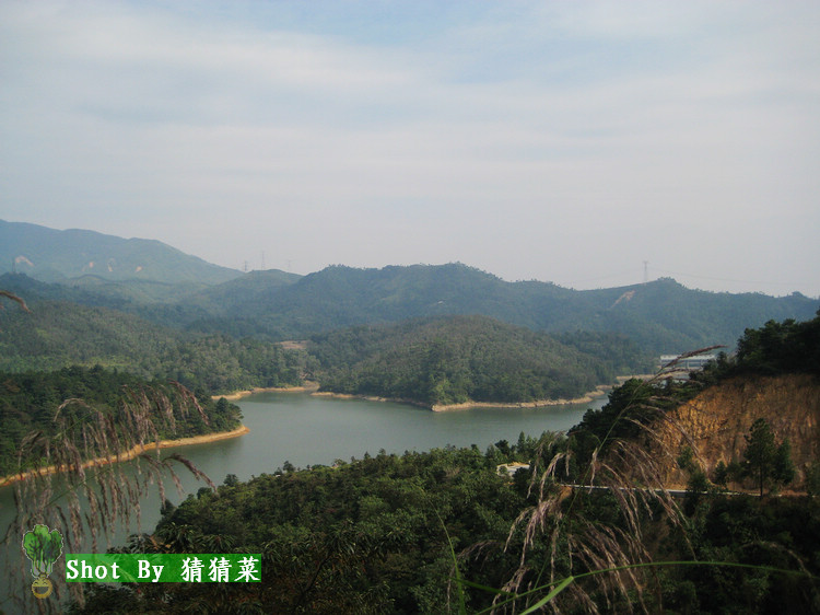 ����ˮ����