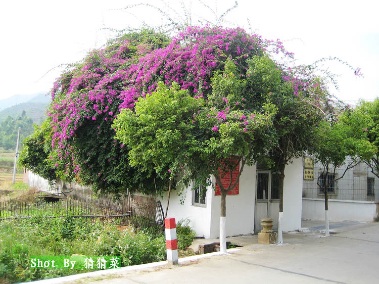 ��÷��ϵ��ݶž�