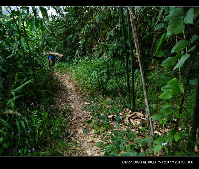 ������·���Եִ�ʯ��