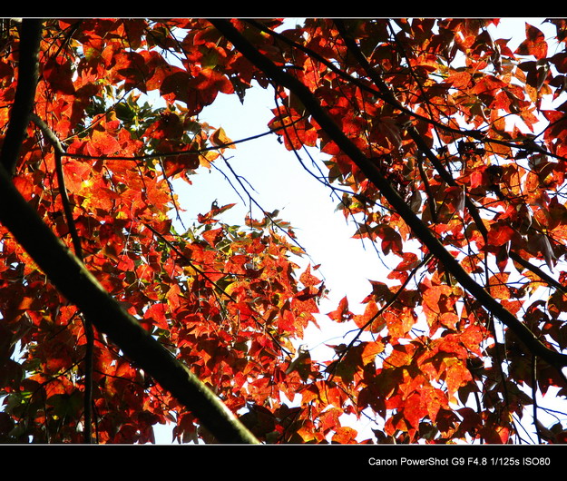 ����ɽ���㾰�续