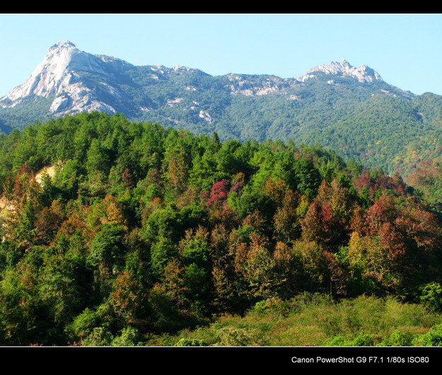 ��������ɽ�����־�Ⱦ