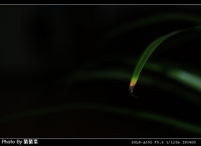 A����Ч��