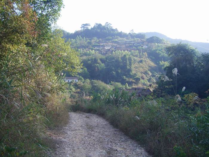 �в��е�����������