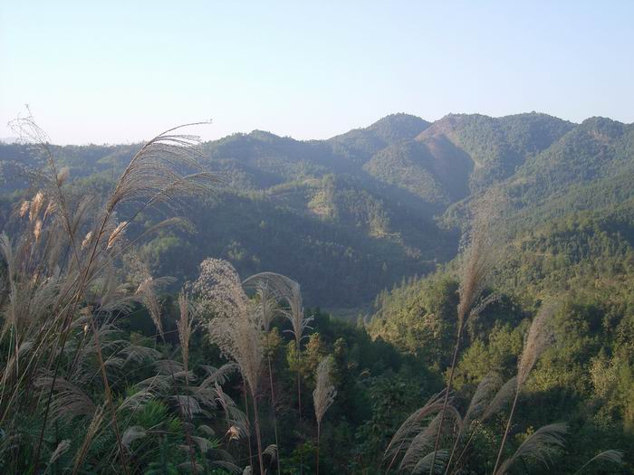 ������·