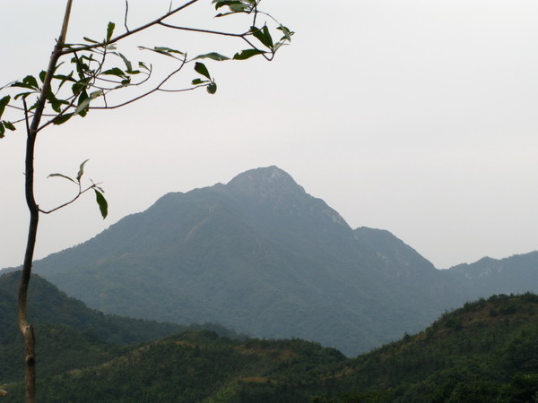 ��¥��Զ��