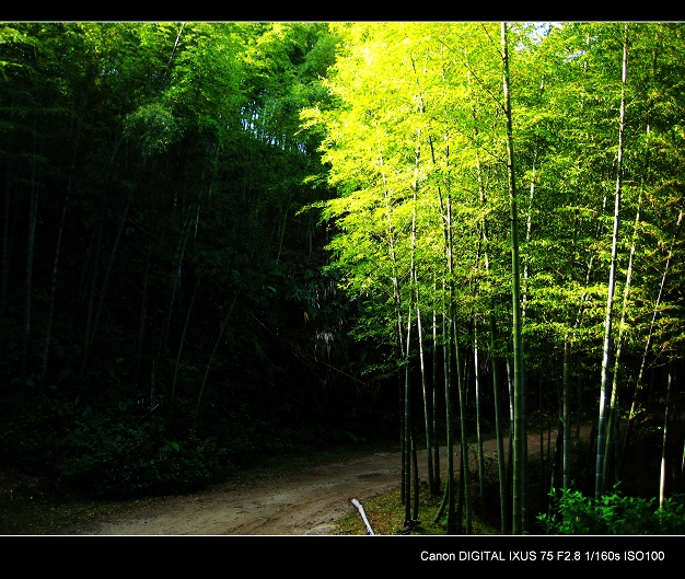 ������÷��