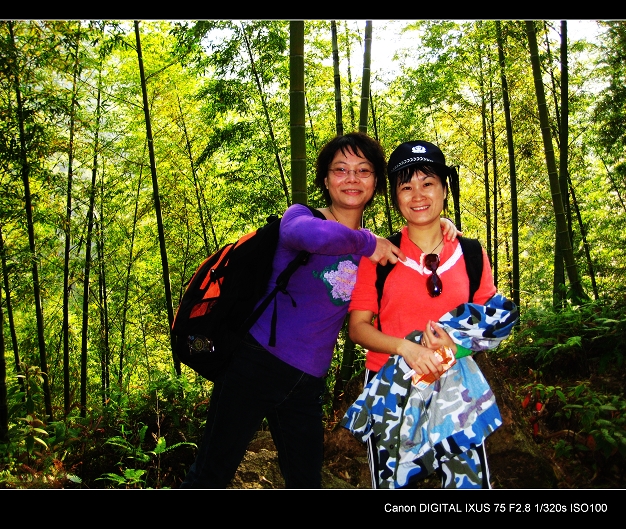 ���ĵ�Ҷ�Ӻͳ���