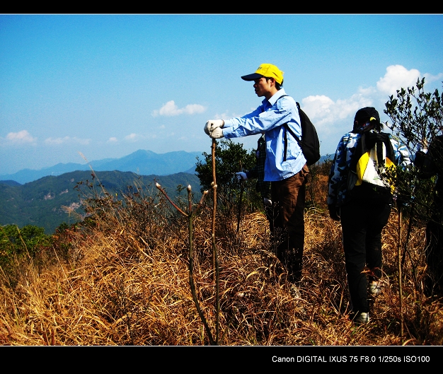 ���ж�����ָɽ������ʲô��