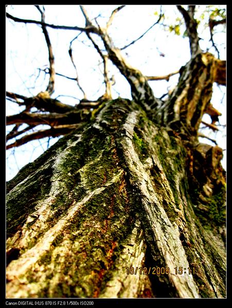 qq 259 (��) (��).jpg