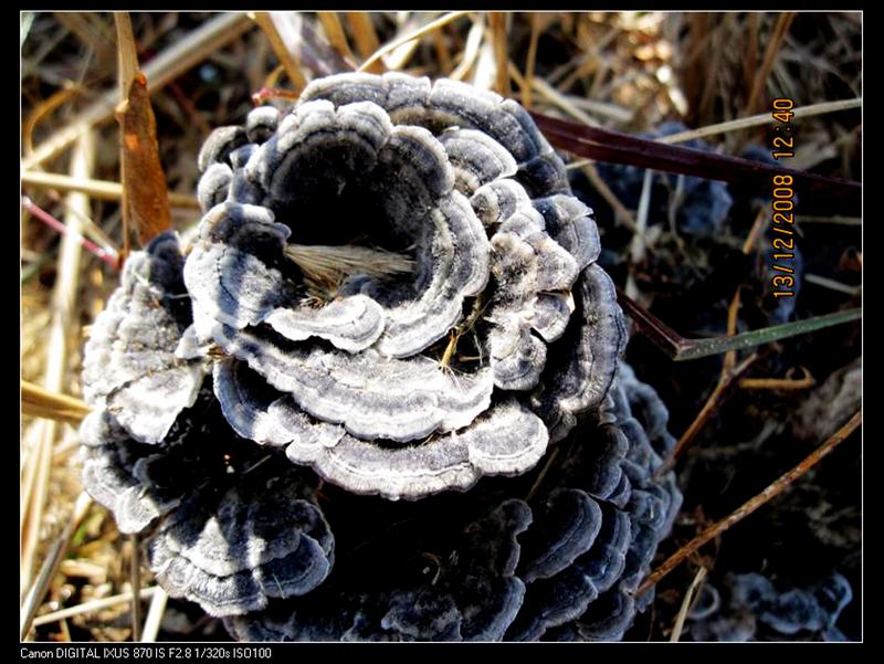 qq 231 (��) (��).jpg