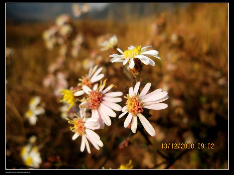 ·��Ұ������������