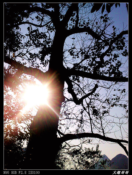 ����ͦ��