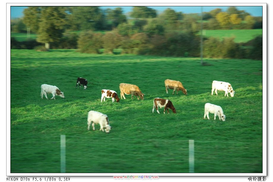 ǰ��������������ʥ�����·�ϴ�Ƭ��������ţ�������������еسԲ�