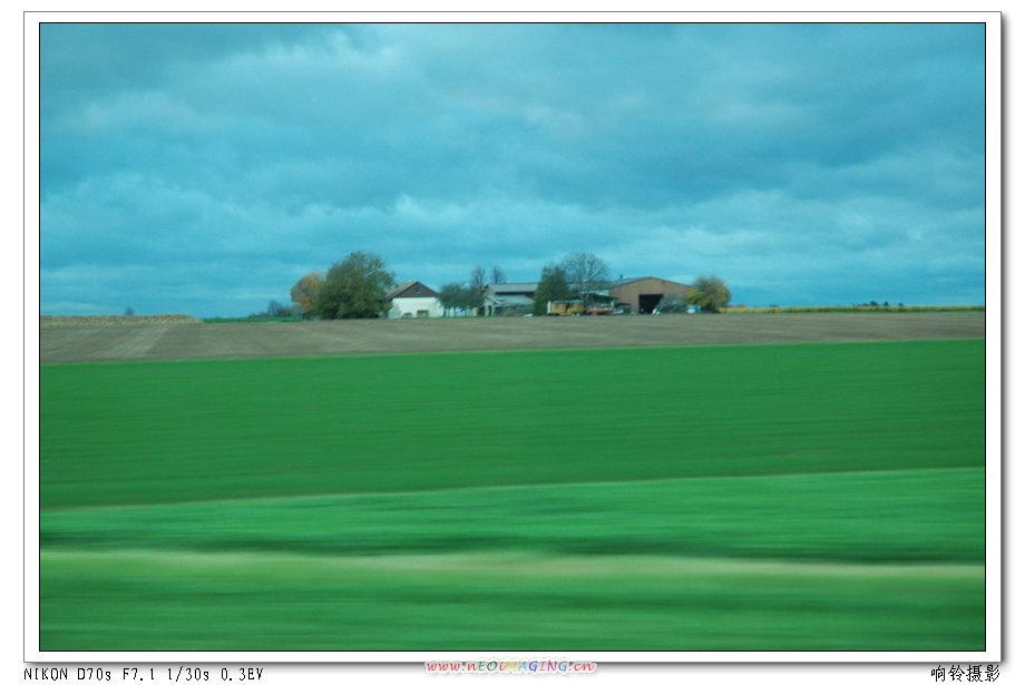 ��������ʢ�����ĵ���˹�����Ĵ�Ƭ��Ұ