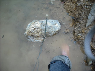 ����ˮ�еı���