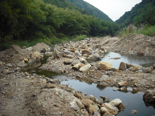 ��ǰ������ɽϪ����е���ɵ���Ŀȫ��