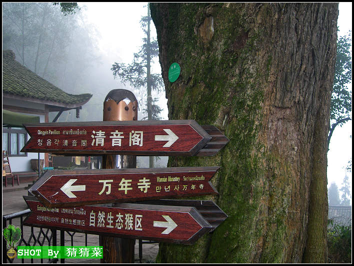 ����ǧ��