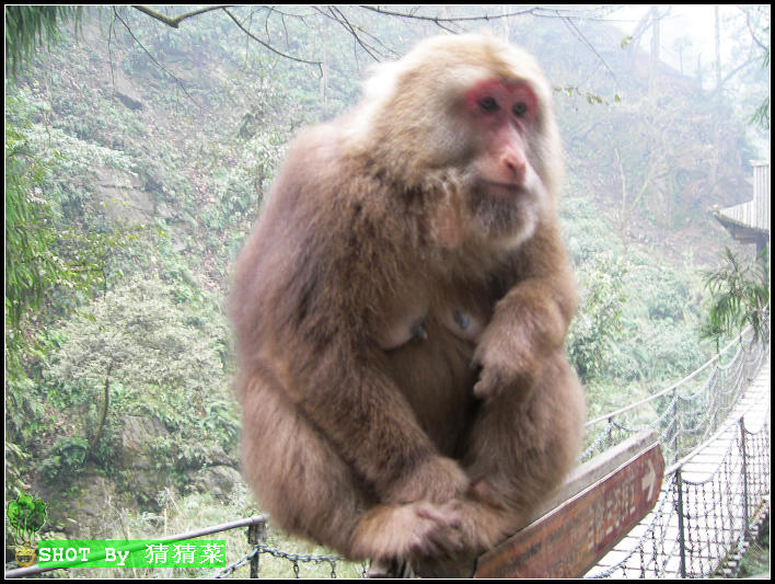 ��üɽ�����ֺ��ӣ�һ����å�ɧ�Ŵ�ȹ�ӵ�Ů�ԡ�����ǿ����������ϴ����ڴ���������һ�ѡ�