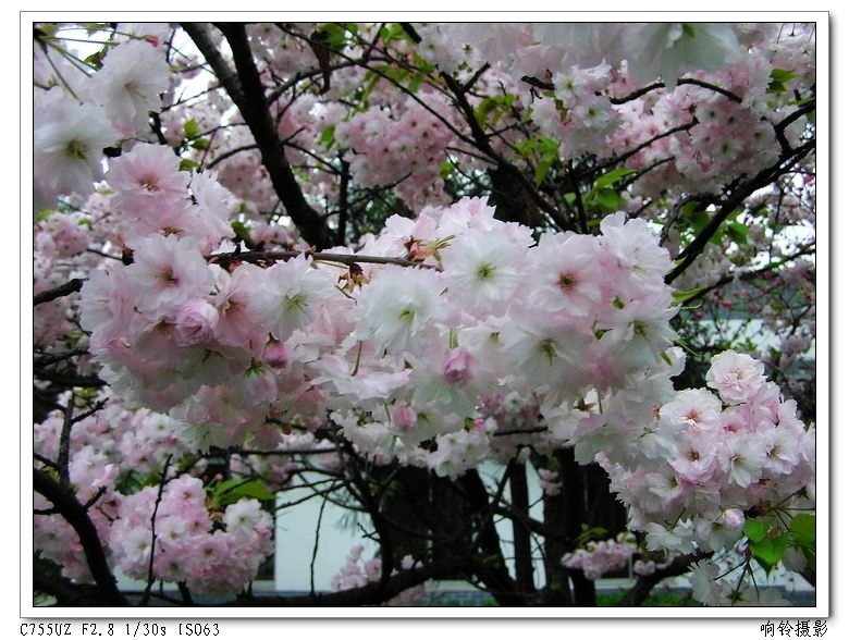 2006�����ڹ�����ס�Ƶ��԰