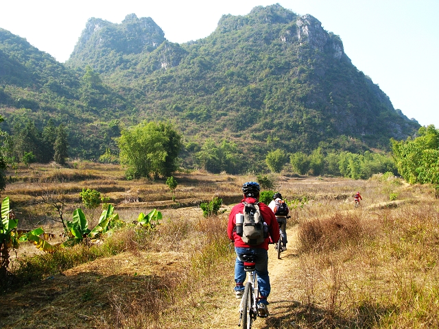 �����ڷ�����4