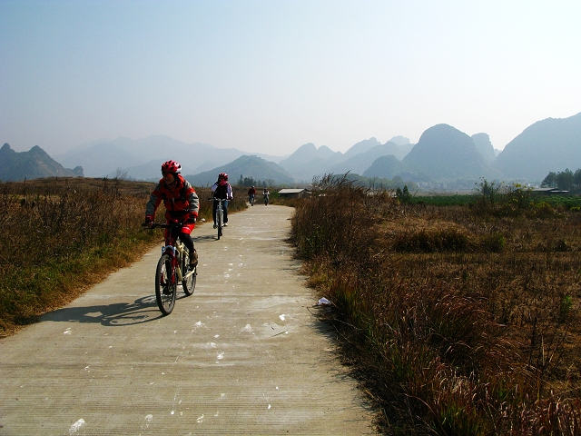 �����ڷ�����2