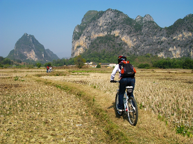 �����ڷ�����6