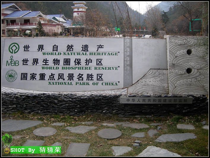 ��կ����ͷ��