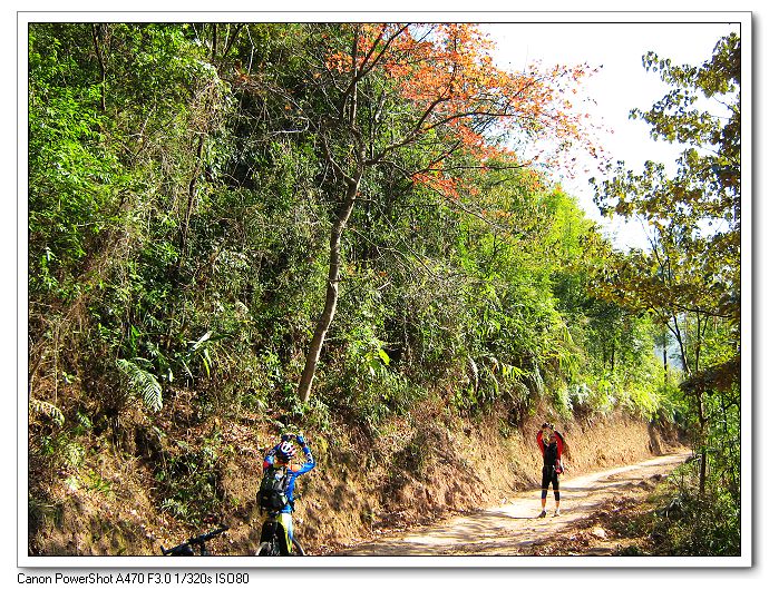 ����Ŀ��