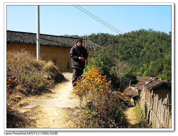 ɽ������