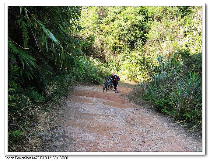 ����~��ǰ��