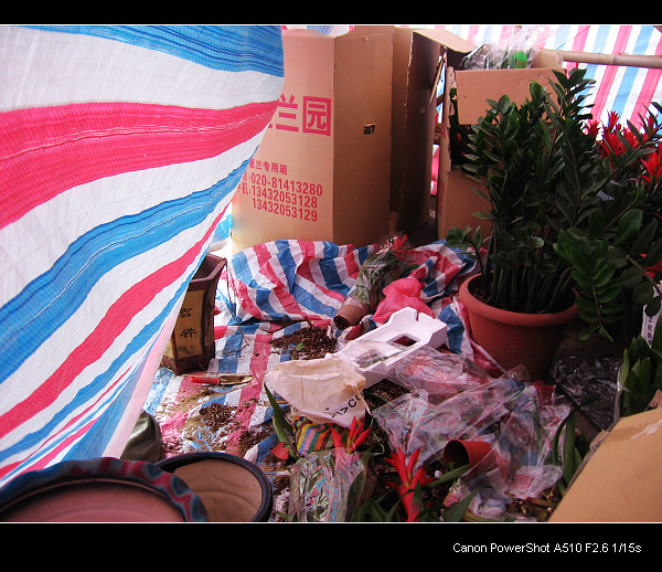 ���ҵĹ���