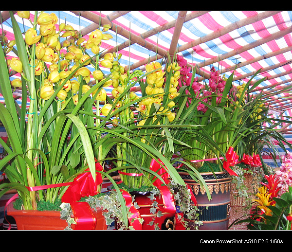 ������ޥ��