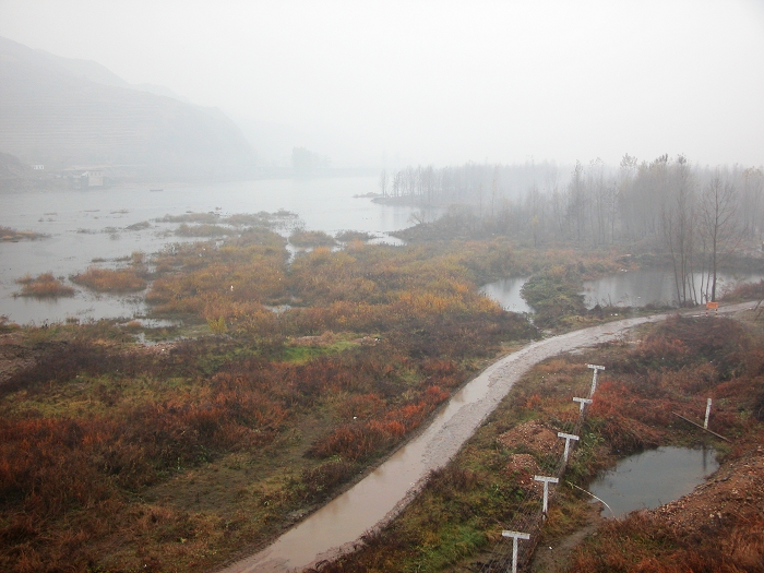 ����Ѽ�G��