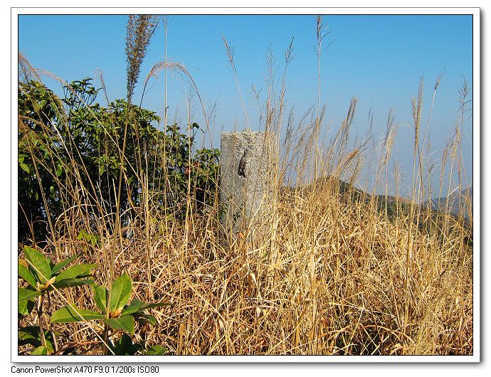 ɽ����ˮ���־׮