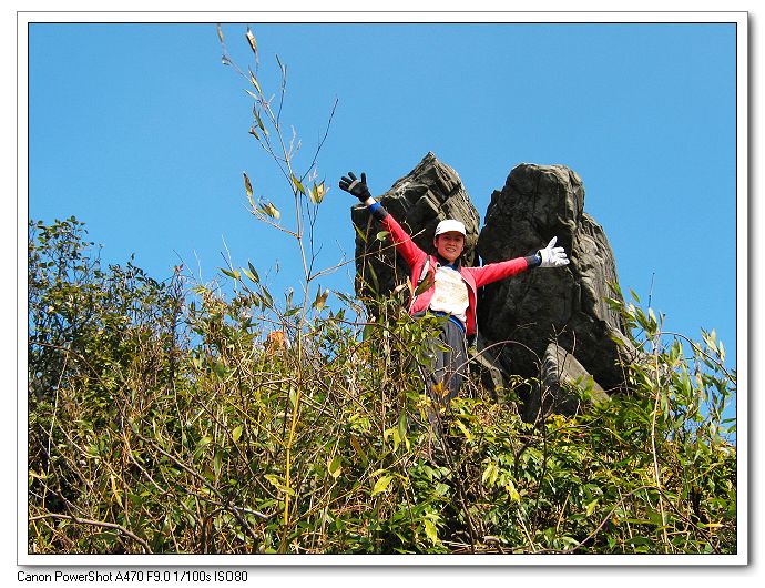 ��MM---����