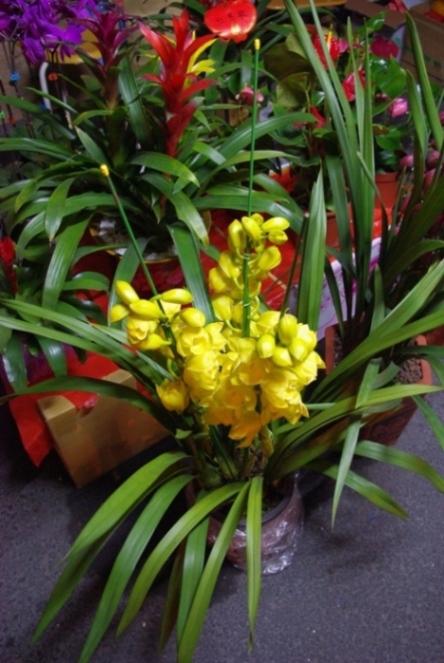 �ұ����գ�����Ҫ֪��ʲô������һ����������ʰ�