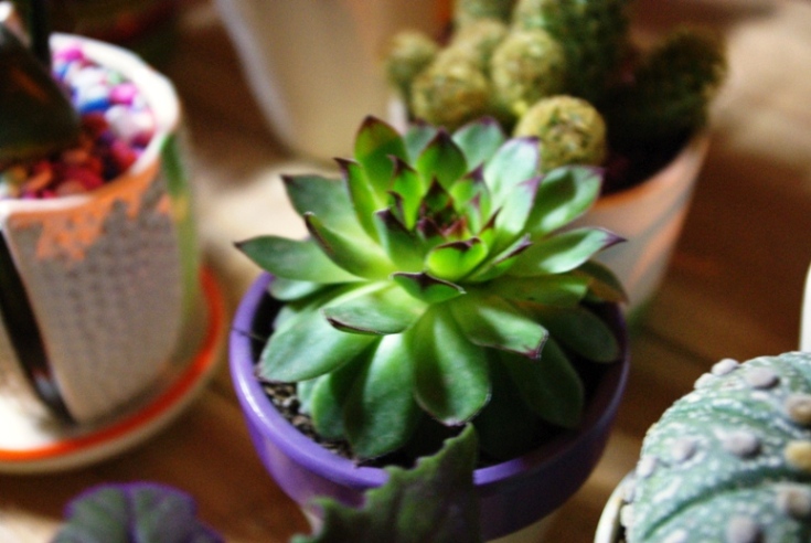 �ÿ��������ĺ��ˡ�����