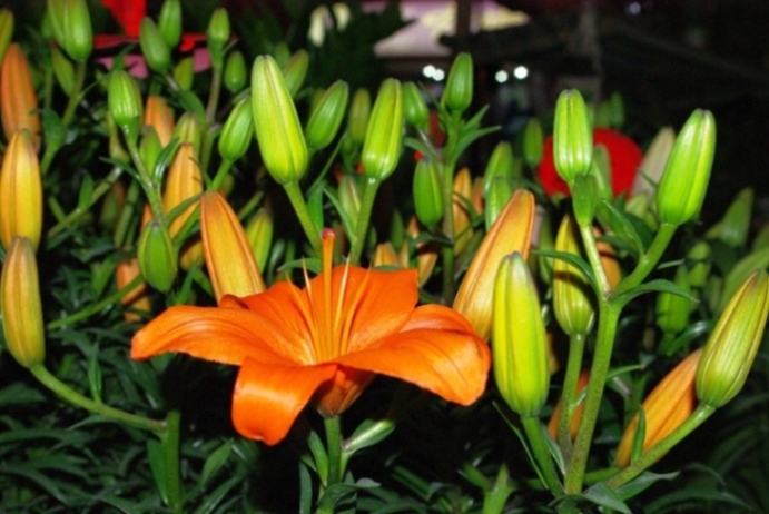 �ұ����գ�����Ҫ֪��ʲô������һ����������ʰ�