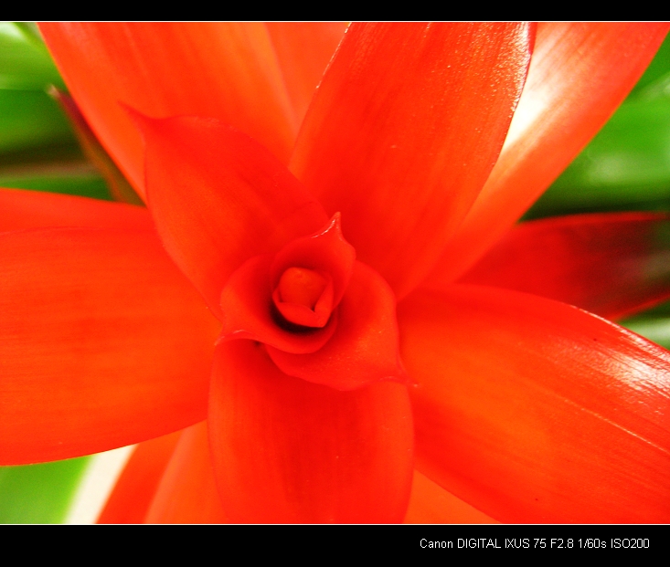 ��֪����ʲô����