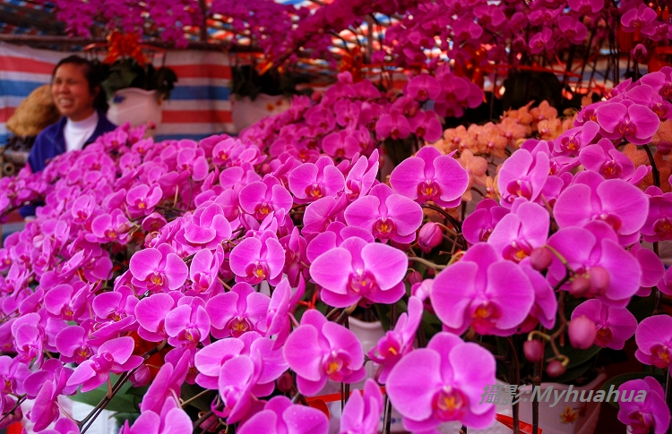 ����й��ꣶ