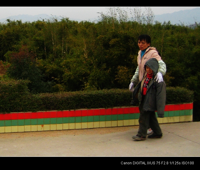 ���ߵ�ĸ��֮��